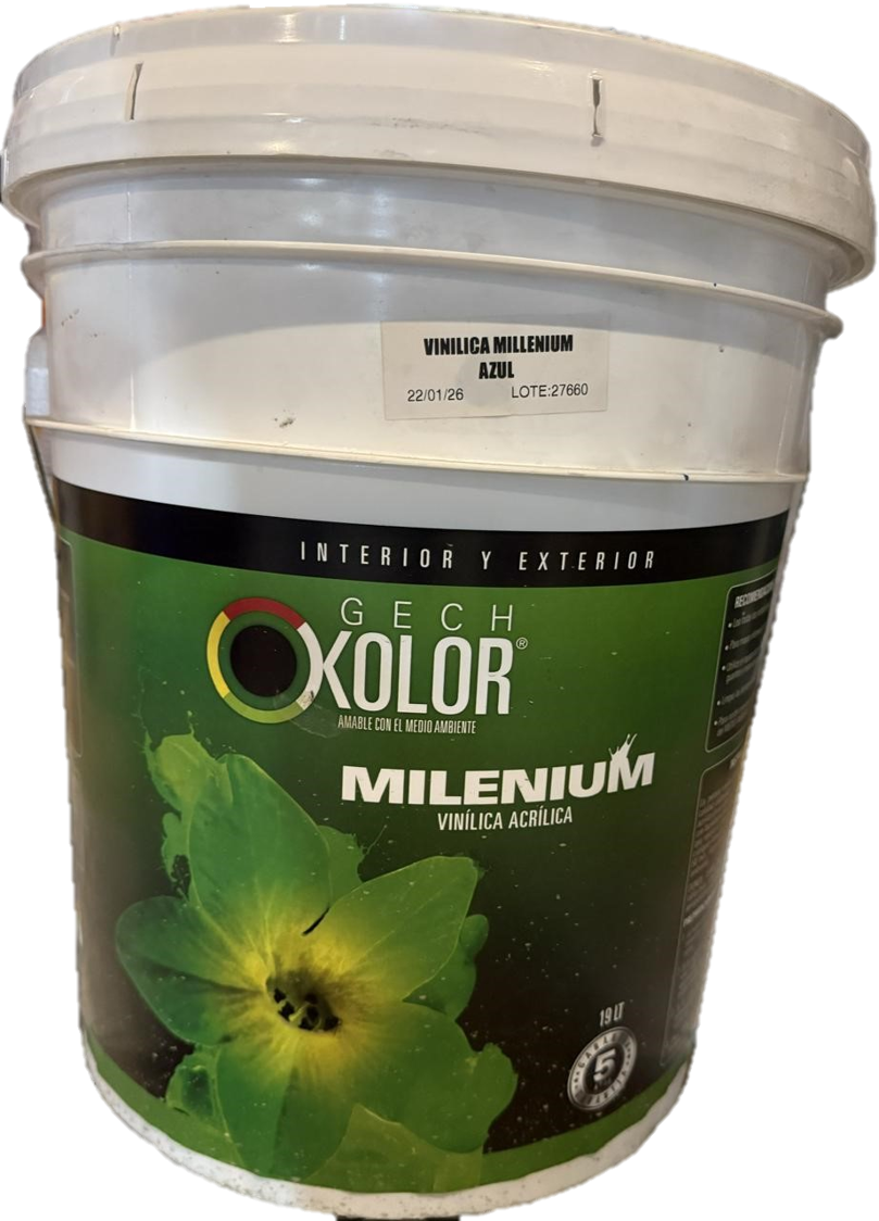Vinilica MILLENIUM 19L