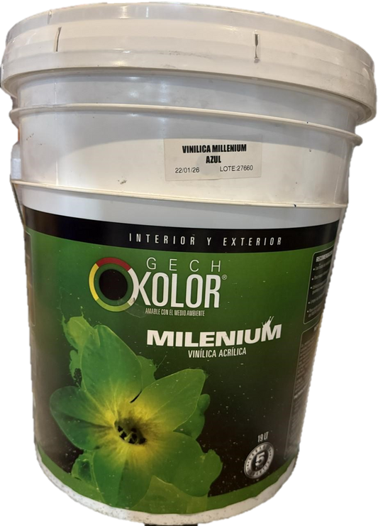 Vinilica MILLENIUM 19L